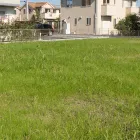 土地
